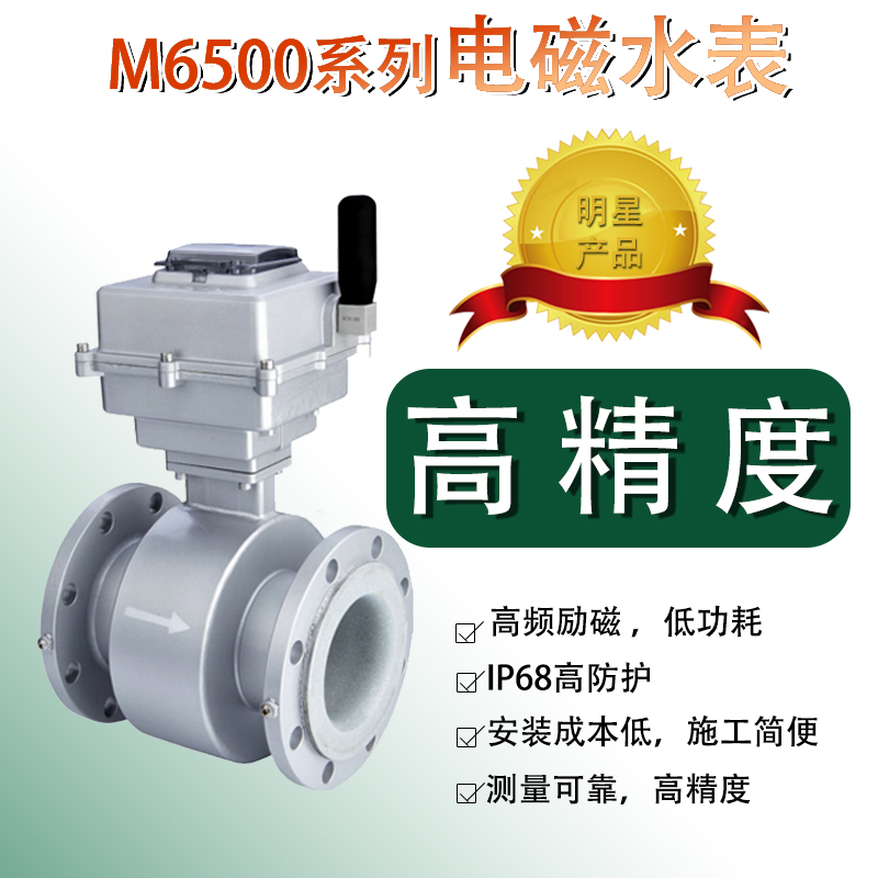 MicroFLOW M6500系列电磁水表(进口组装)