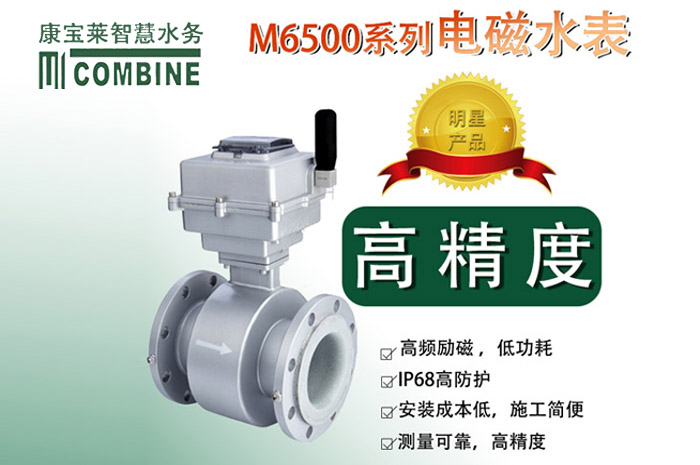 MicroFLOW M6500系列电磁水表(进口组装)