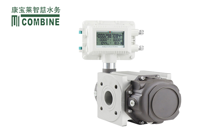 气体罗茨流量计