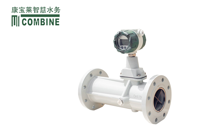 旋进漩涡流量计B